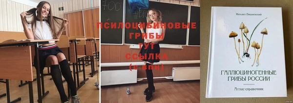 экстази Вяземский
