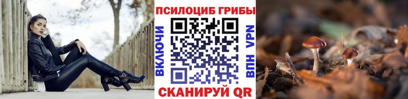 Псилоцибиновые грибы прущие грибы гидра онион Назрань купить наркоту